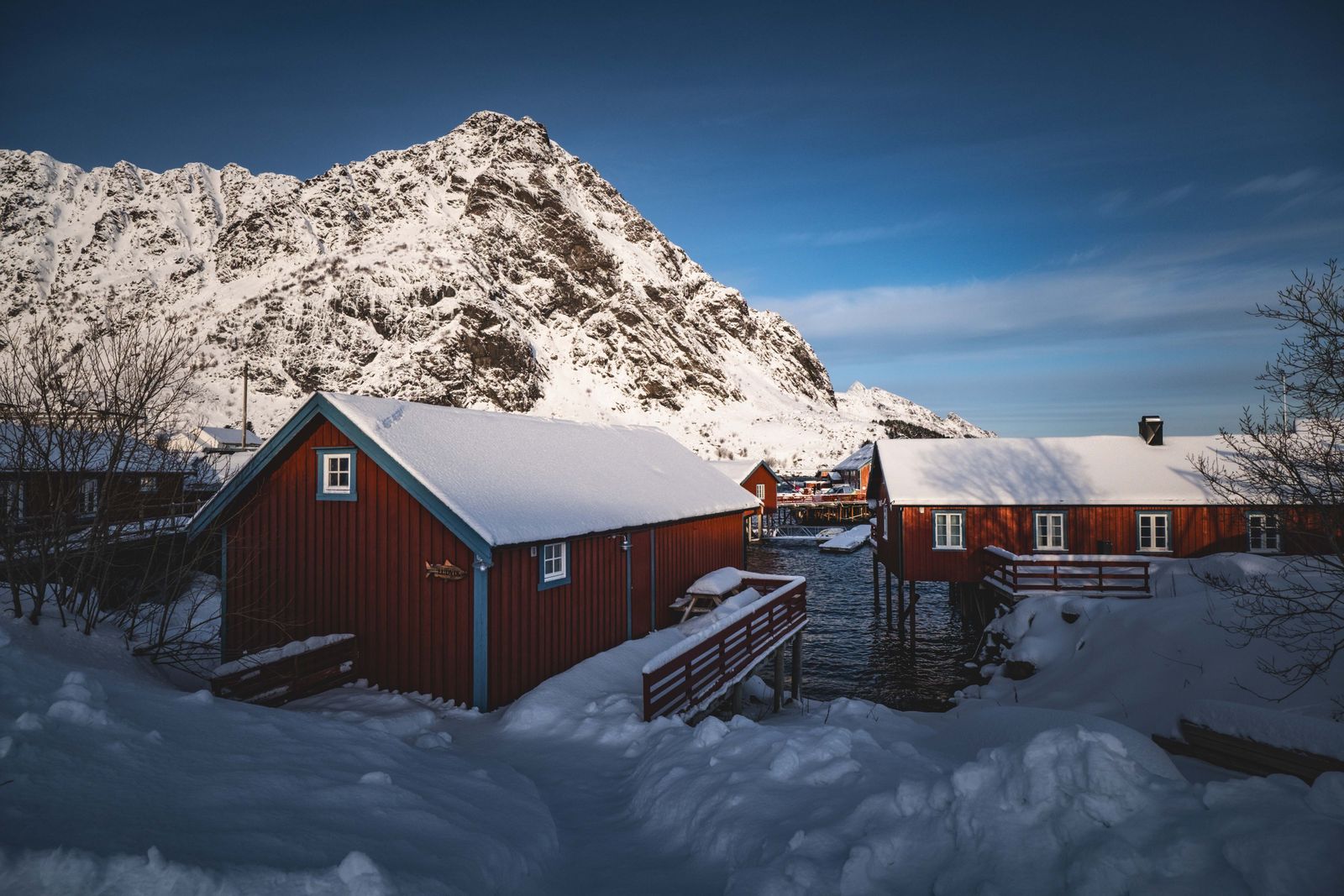 Red wooden cabins by the water in Lofoten in winter