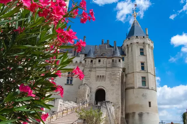The Château de Saumur above the town