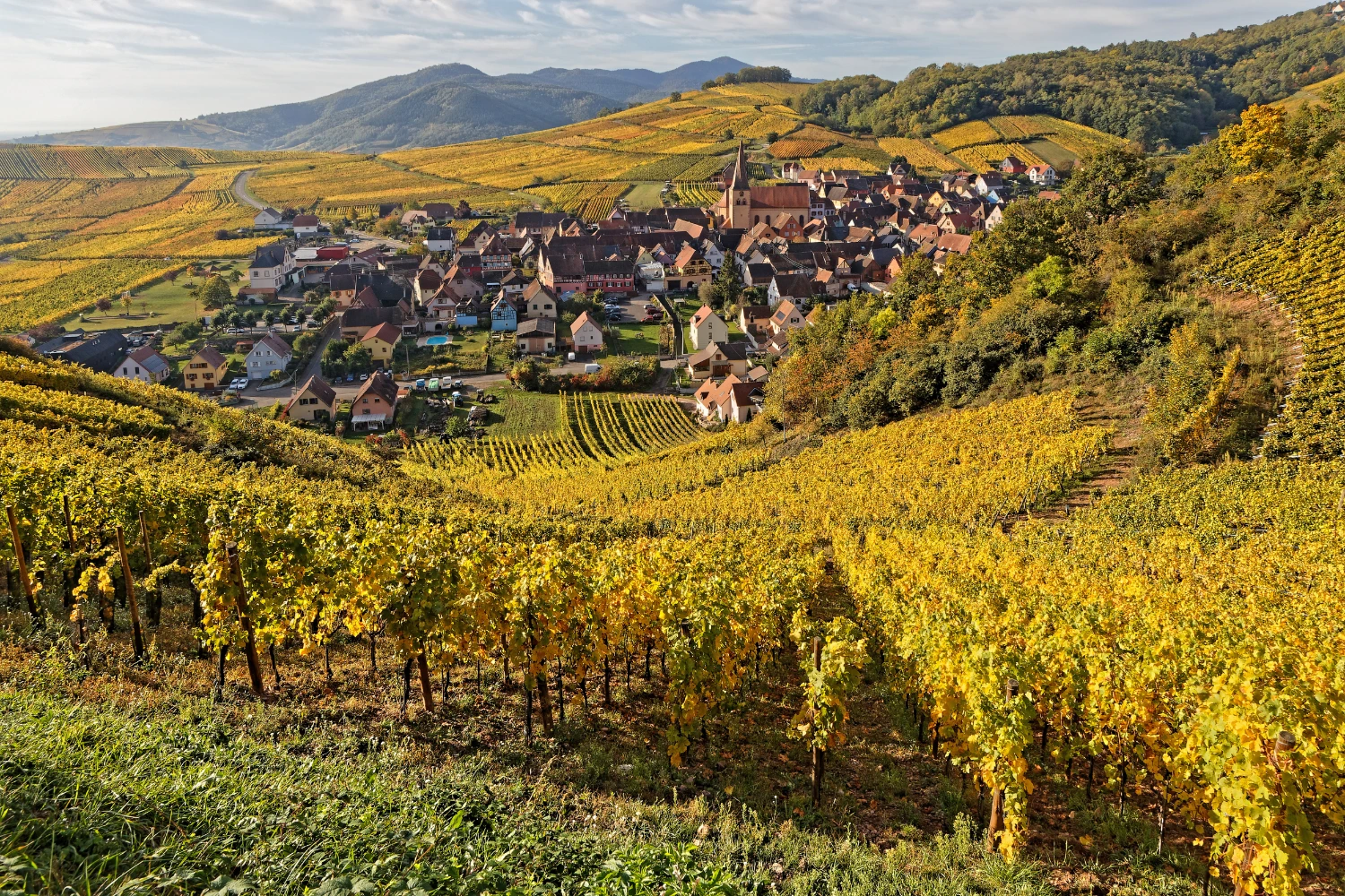 Alsace Wine Route village