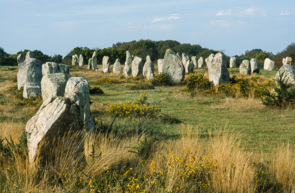 The standing stones of Carnac