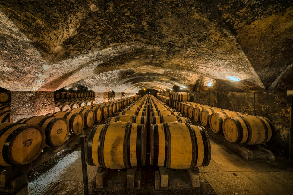 The Connoisseur's Guide to Burgundy: What to Know Before You Visit