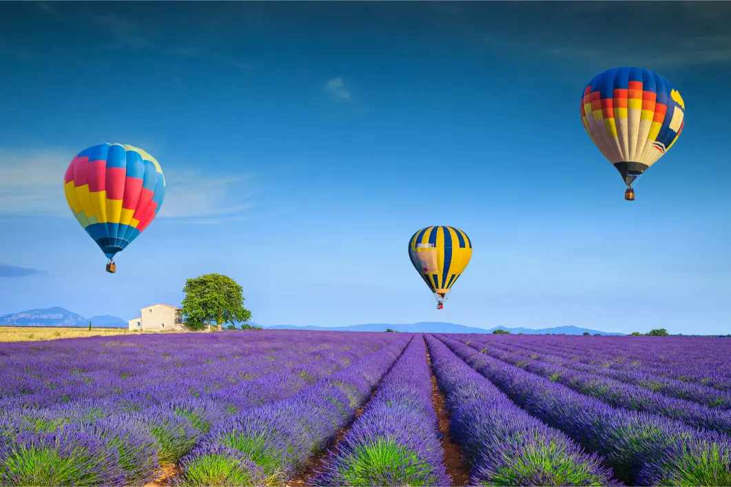Hot-air balloons over the lavender at Valensole