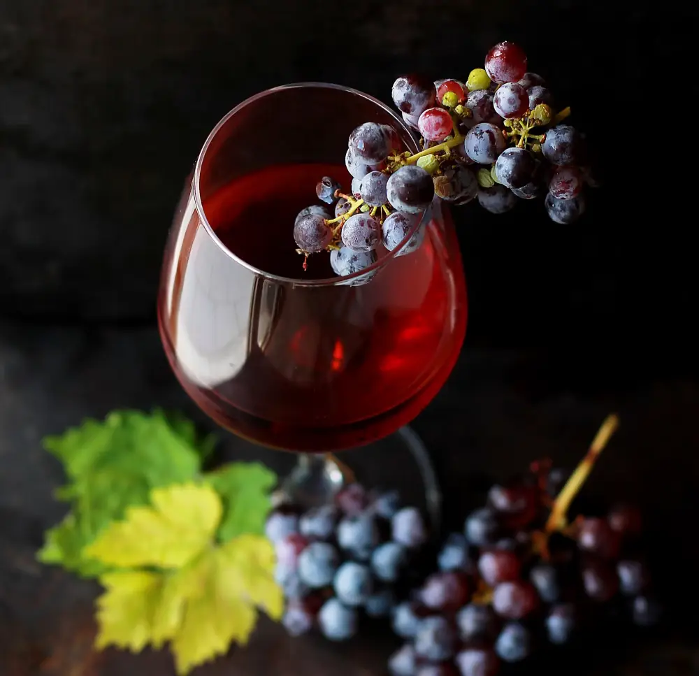 Bordeaux Primeurs 2026 — Entering the City While the Vintage Is Still Exposed 6 Bordeaux Primeurs 2026 — Entering the City While the Vintage Is Still Exposed
