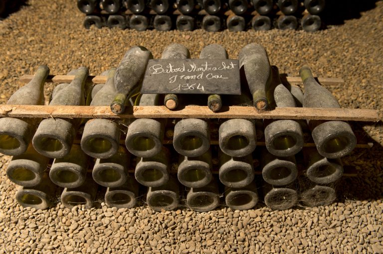 The Terroir Tale in Burgundy