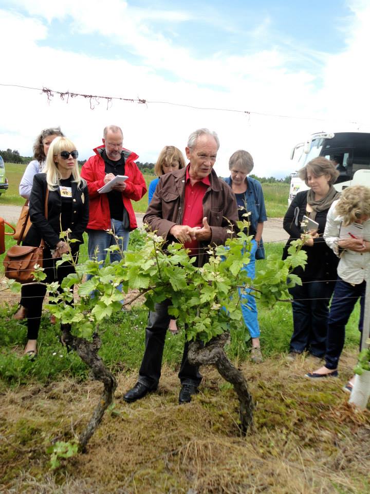 The Terroir Tale of Burgundy