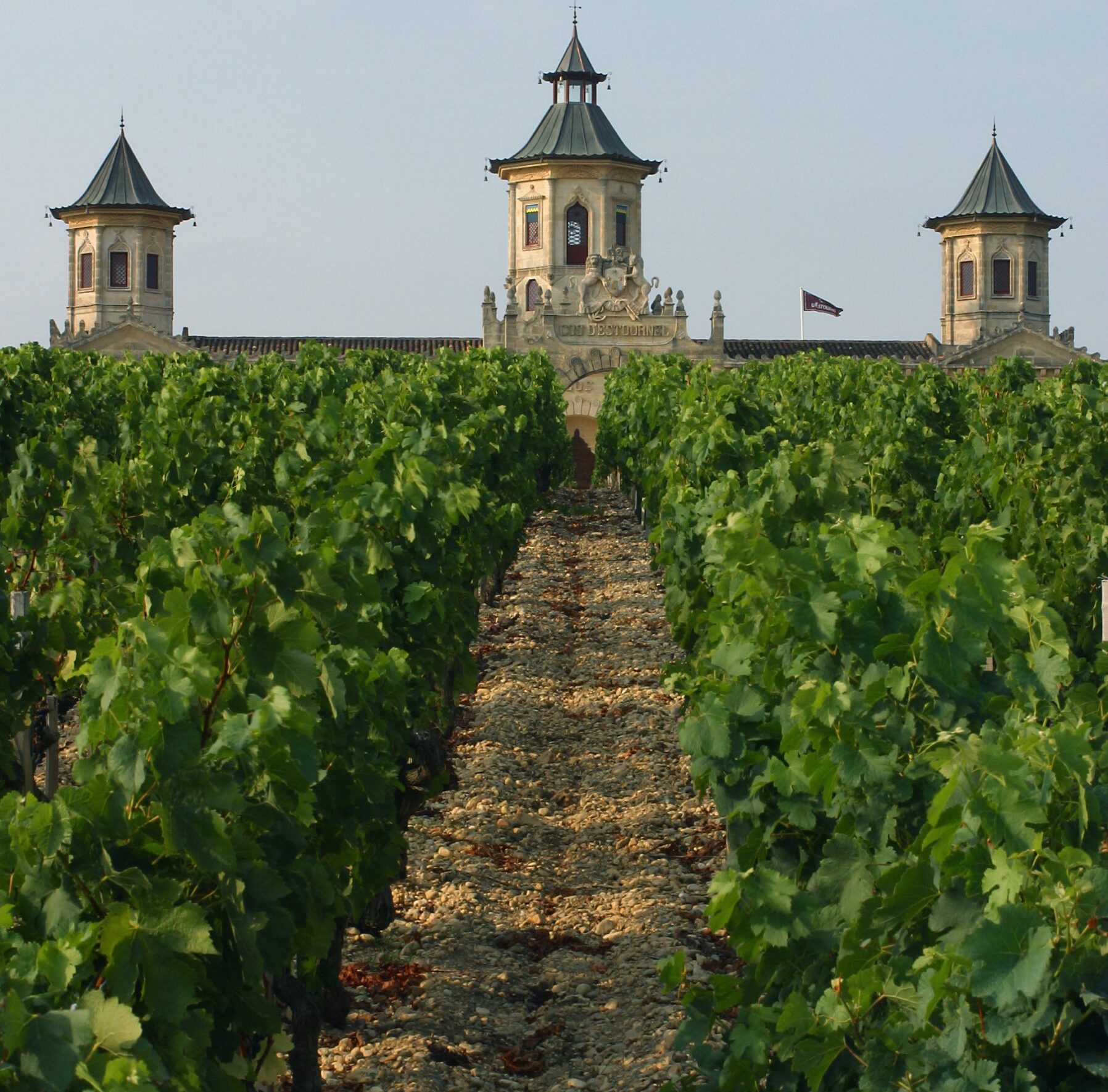 Cycling the vine rows of the Médoc