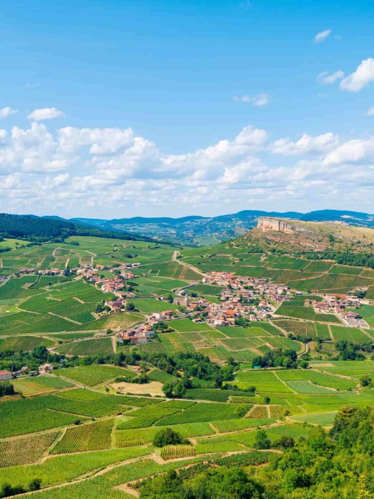 Wine Tasting in Burgundy: 5 Mistakes Not to Make