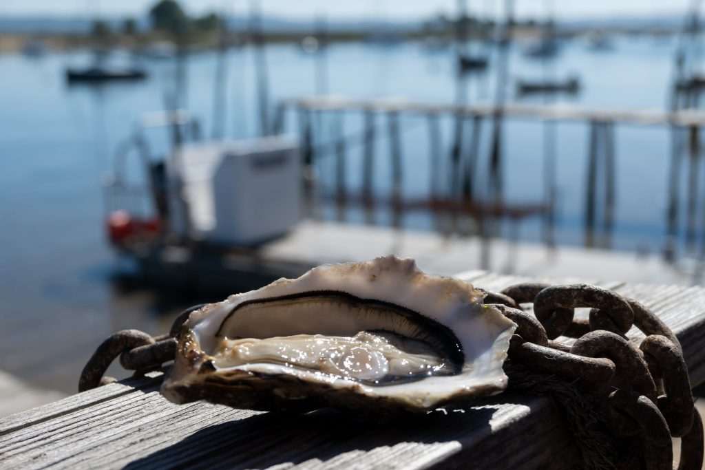 The Best Oysters in France: A Region-by-Region Guide