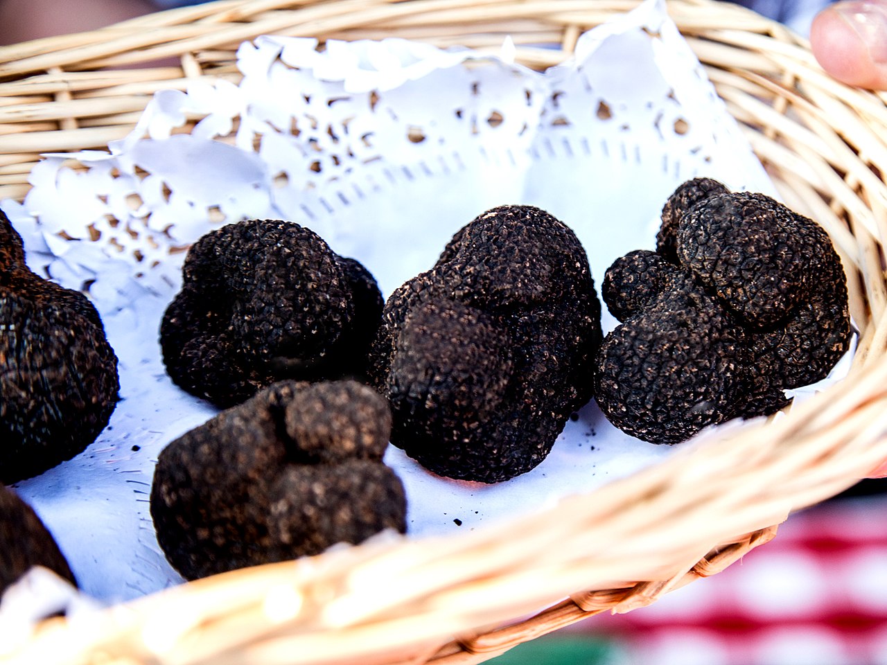 Truffle Season In France: Private Tours & Authentic Tastings