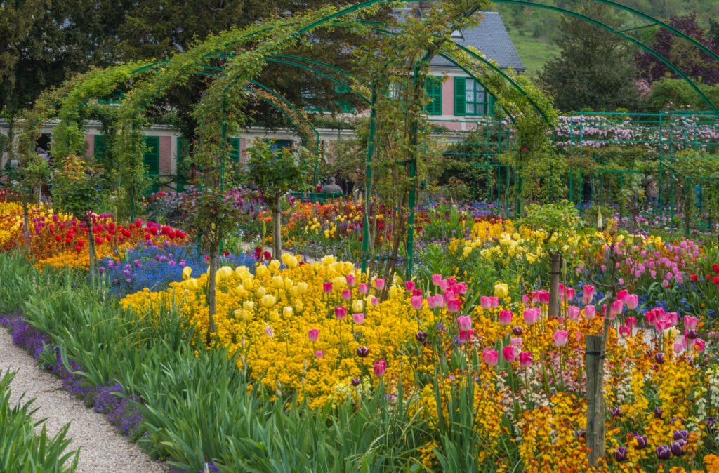 What blooms in May and disappears: Five gardens that exist on their own terms 10 What blooms in May and disappears: Five gardens that exist on their own terms