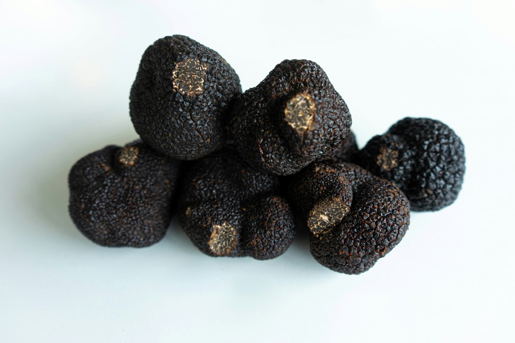 A pile of black winter truffles, Tuber melanosporum
