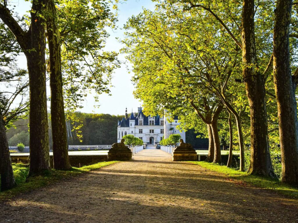 Parc in front of a French Castle