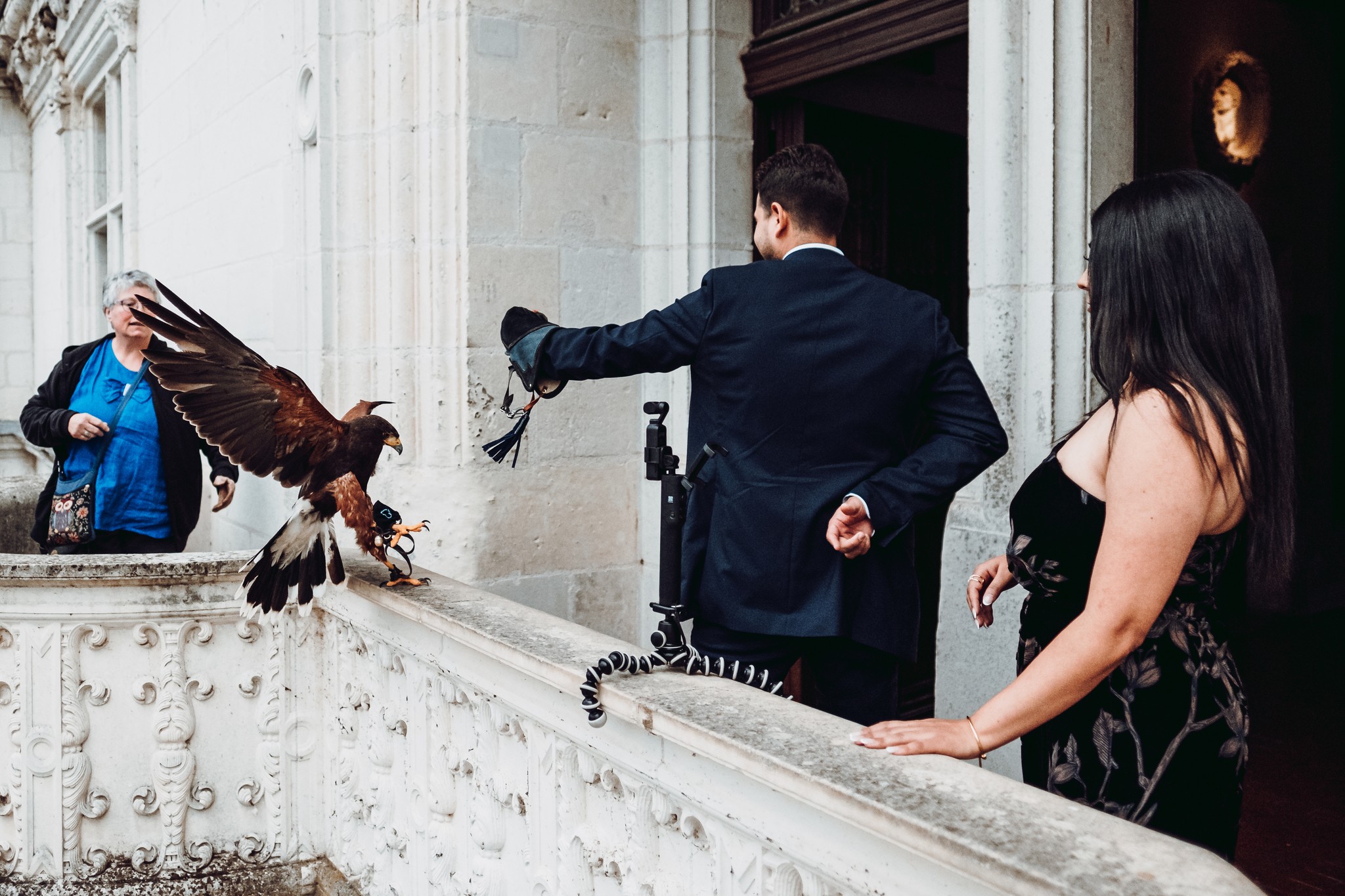 A trained eagle landing on the château balustrade, carrying the ring