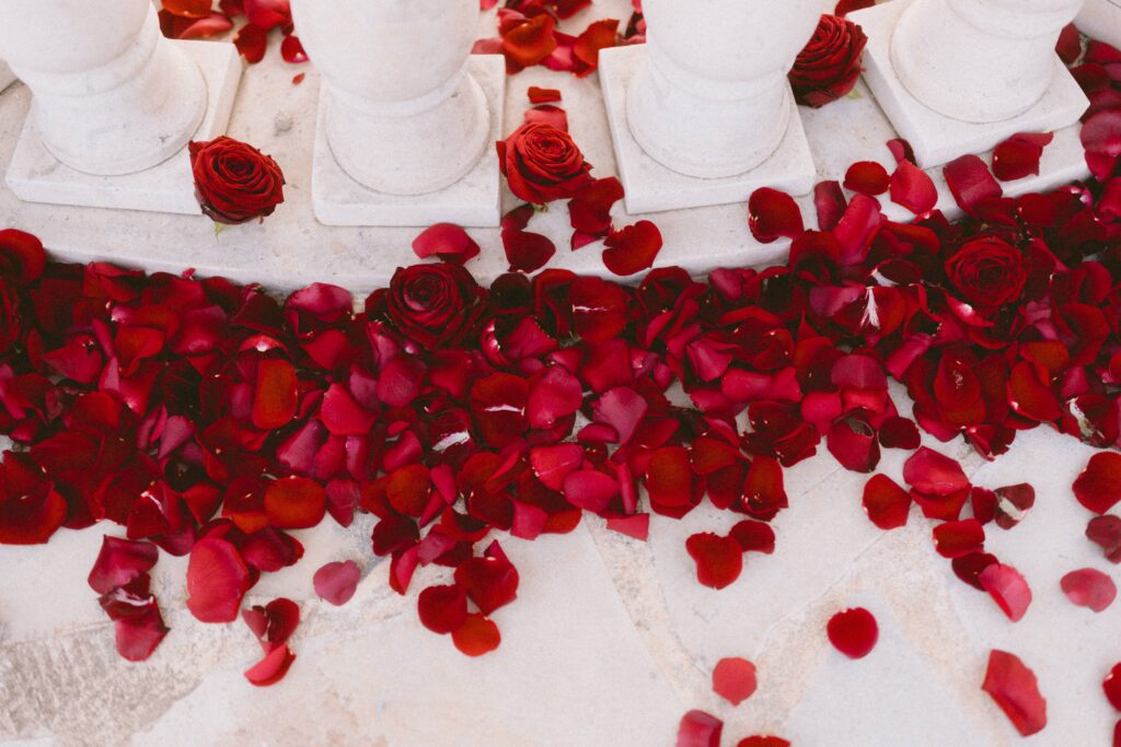 Valentine’s Day Traditions: How France and America Celebrate Love Differently