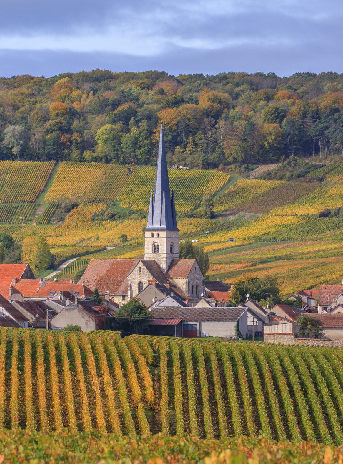 Visit Champagne, Festive treats, impressive cellars, moving history