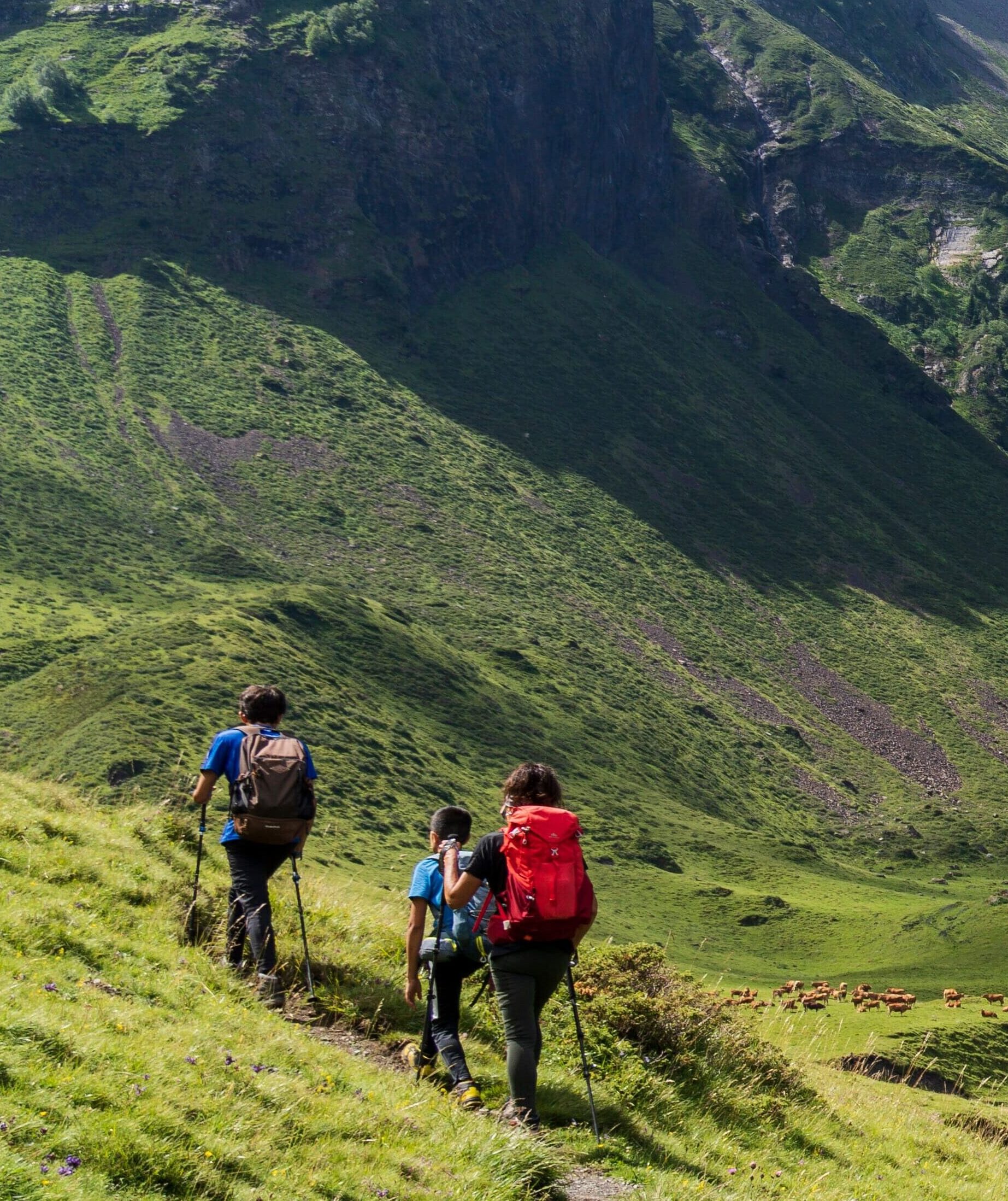 Visit Occitanie, Gastronomic heritage, Mystical history, Extraordinary nature
