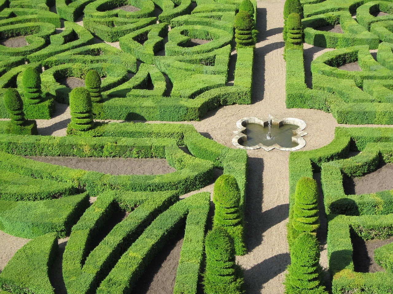The kitchen garden — the potager of Villandry