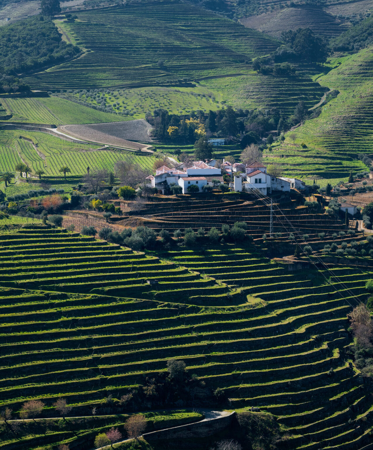 Portugal