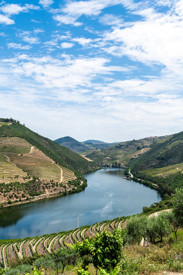 Douro Valley Portugal