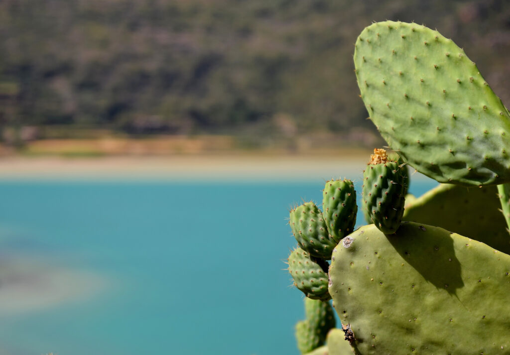 Slow Places in Europe That Aren’t Trying to Be Discovered