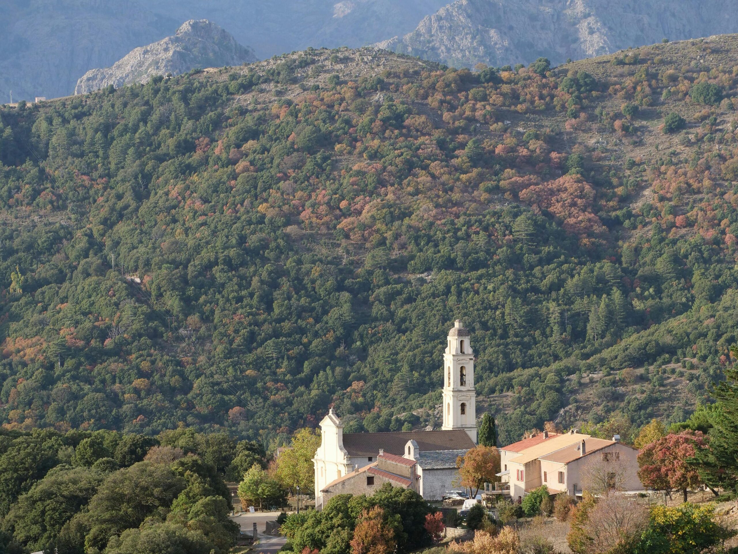 Interview with Marlene : The Art of Corsican Honey
