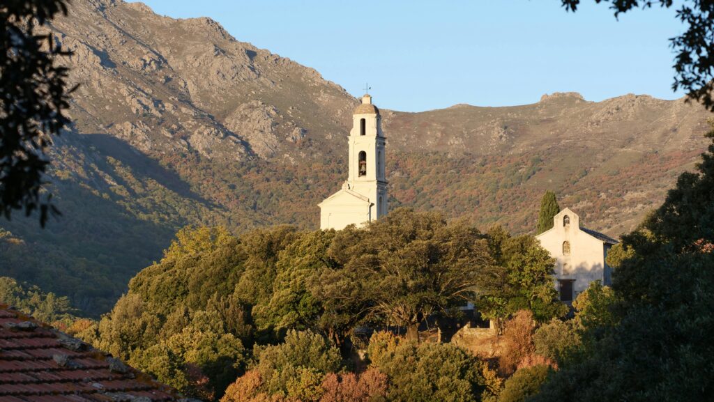 Interview with Marlene : The Art of Corsican Honey