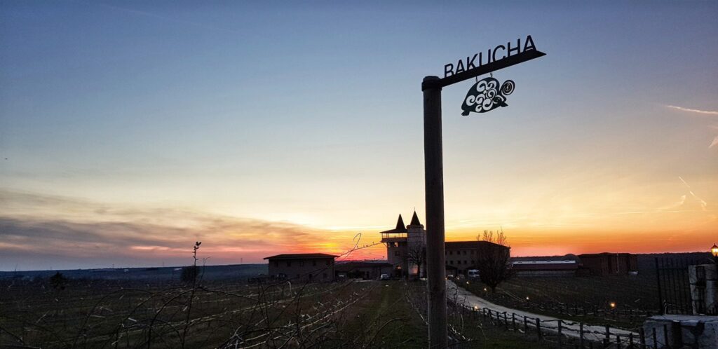 Interview with Zeynep Arca : A Turkish Tale of Terroir with Arcadia Wines