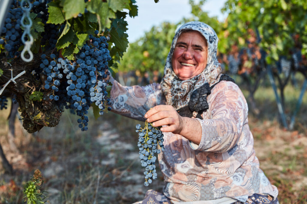 Interview with Zeynep Arca : A Turkish Tale of Terroir with Arcadia Wines