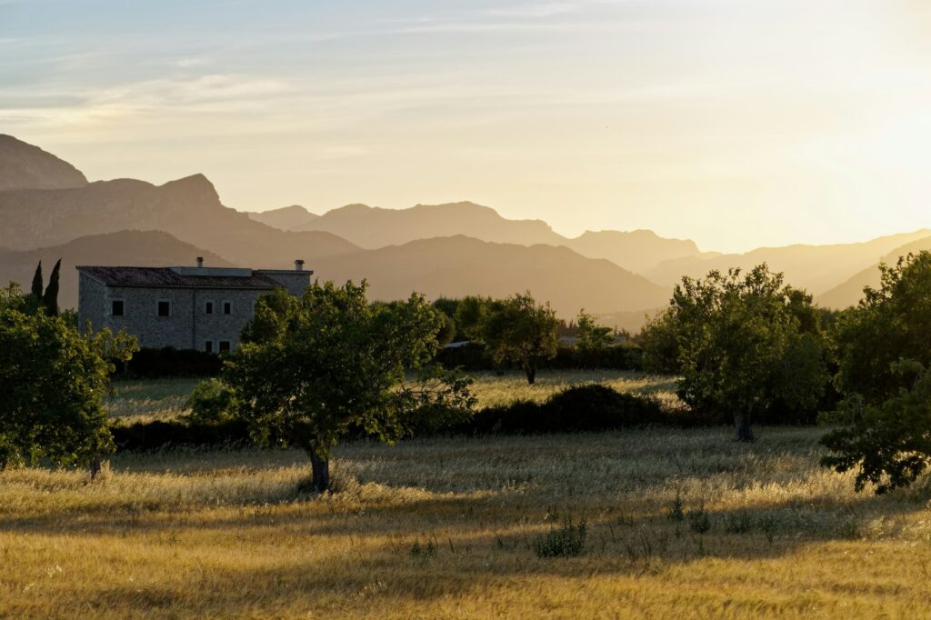 Priorat Field