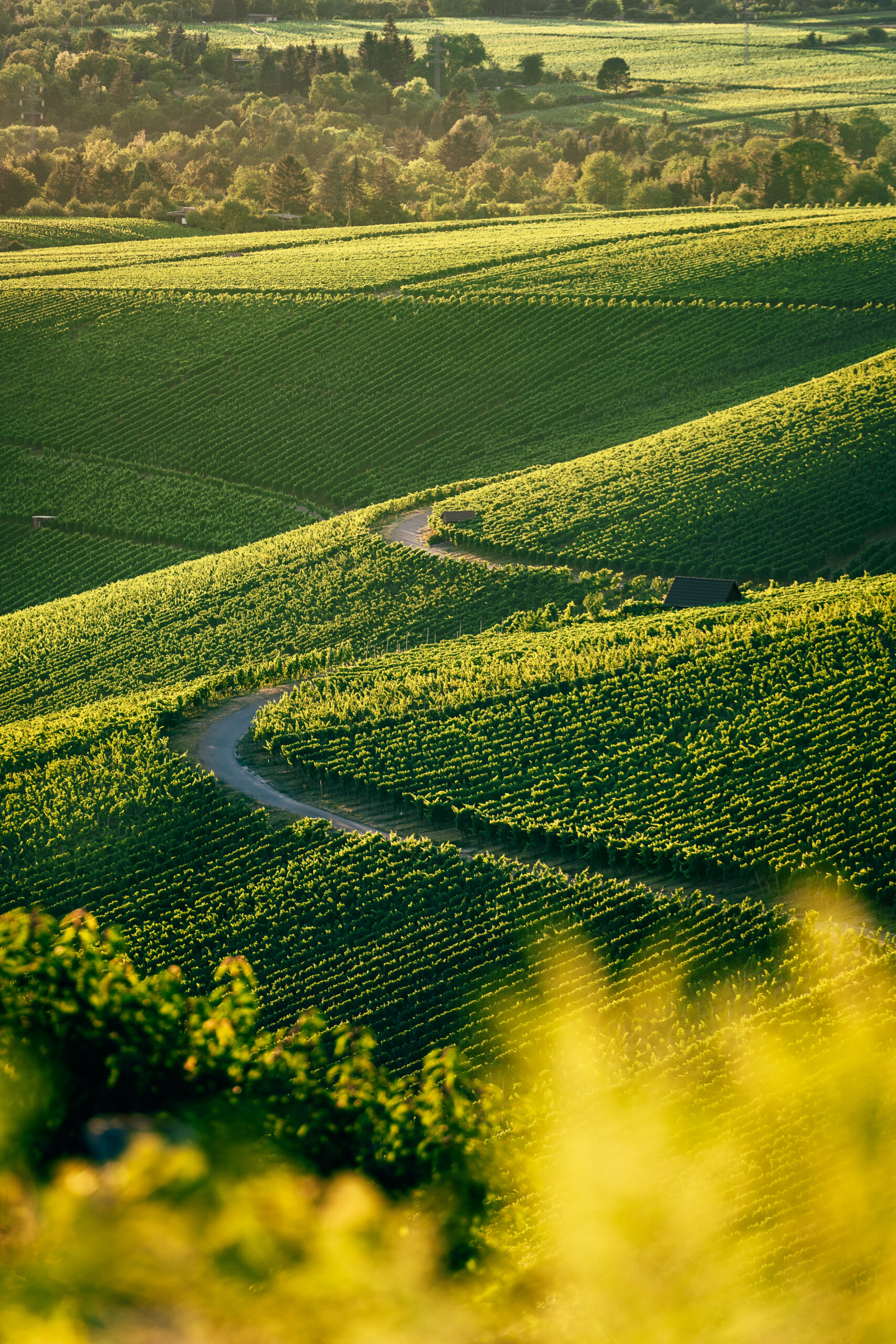 Visit Italy: Ancient Heritage, Stunning Landscapes and Gourmet Traditions