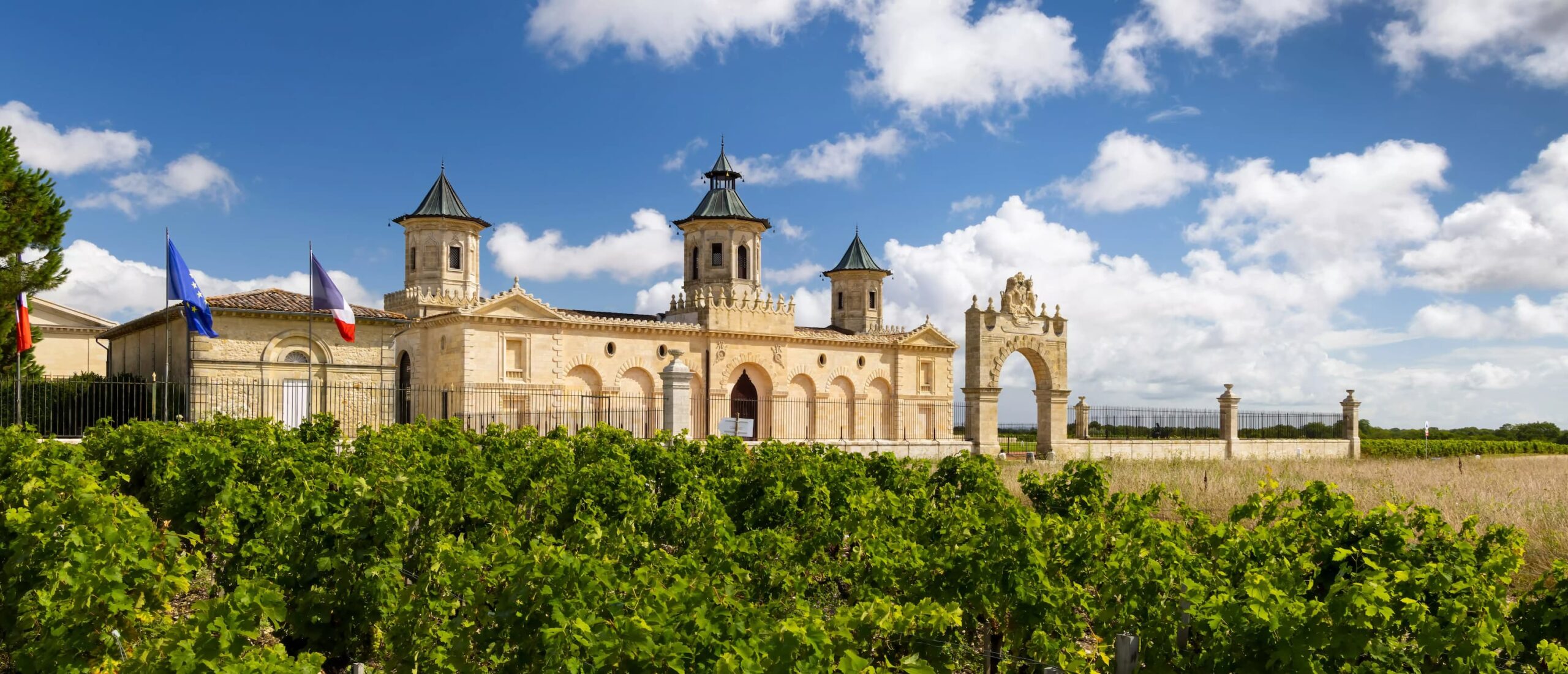 Wine domain in Bordeaux