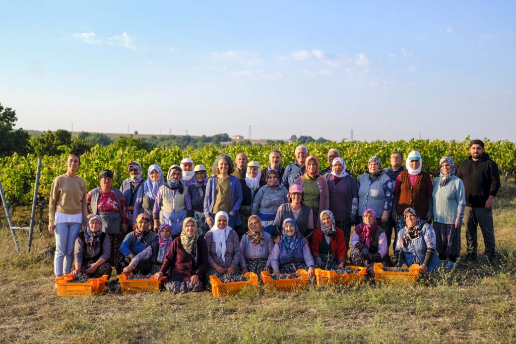 Interview with Zeynep Arca : A Turkish Tale of Terroir with Arcadia Wines