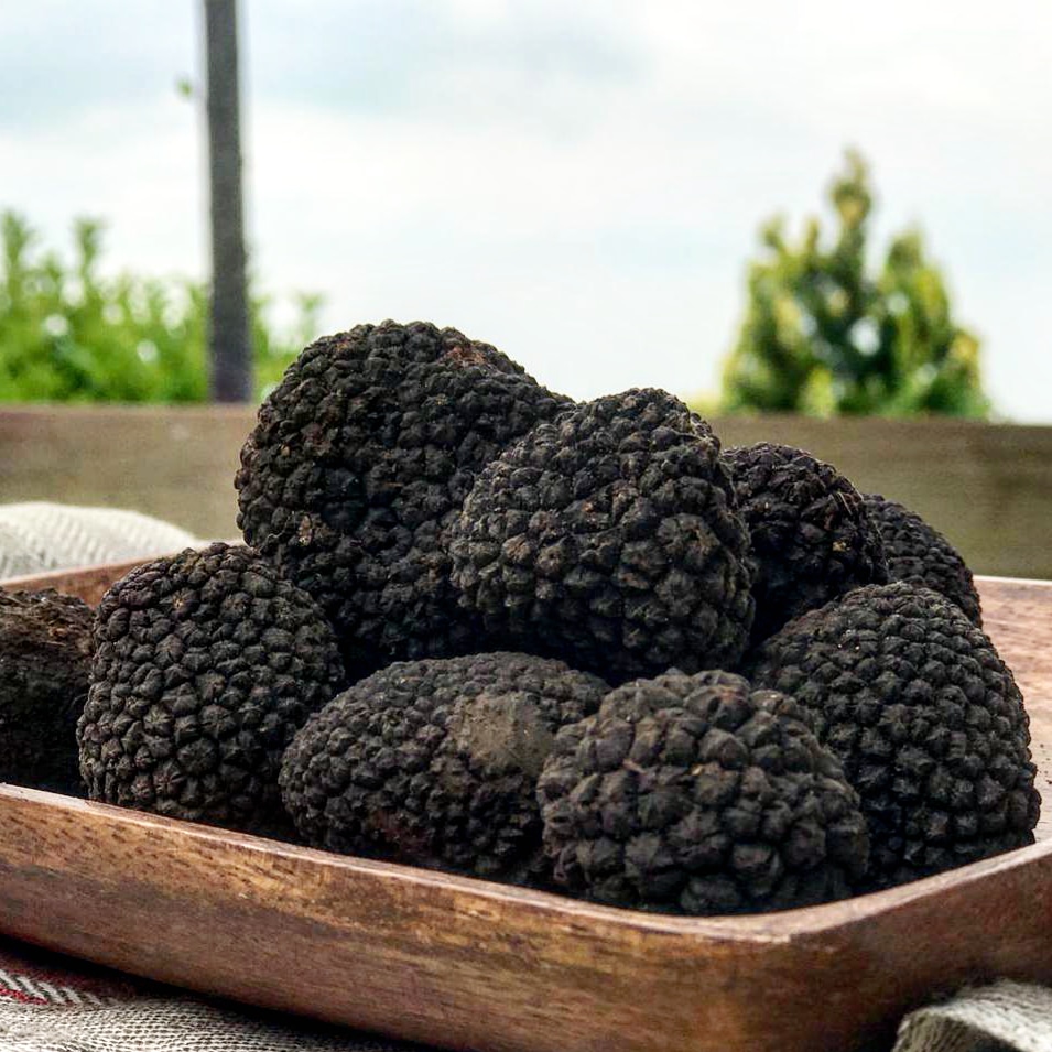 Interview with Zeynep Arca : A Turkish Tale of Terroir with Arcadia Wines