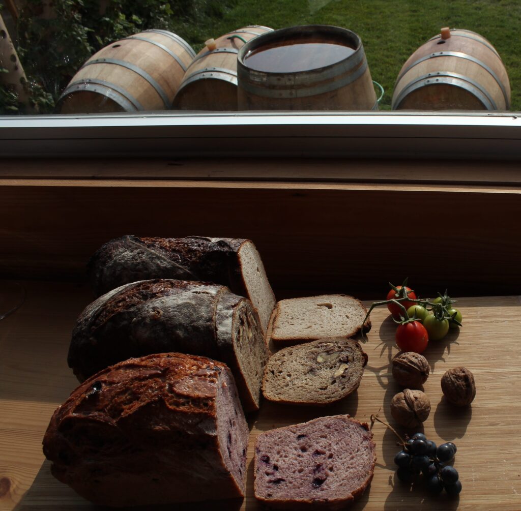 Interview with Zeynep Arca : A Turkish Tale of Terroir with Arcadia Wines