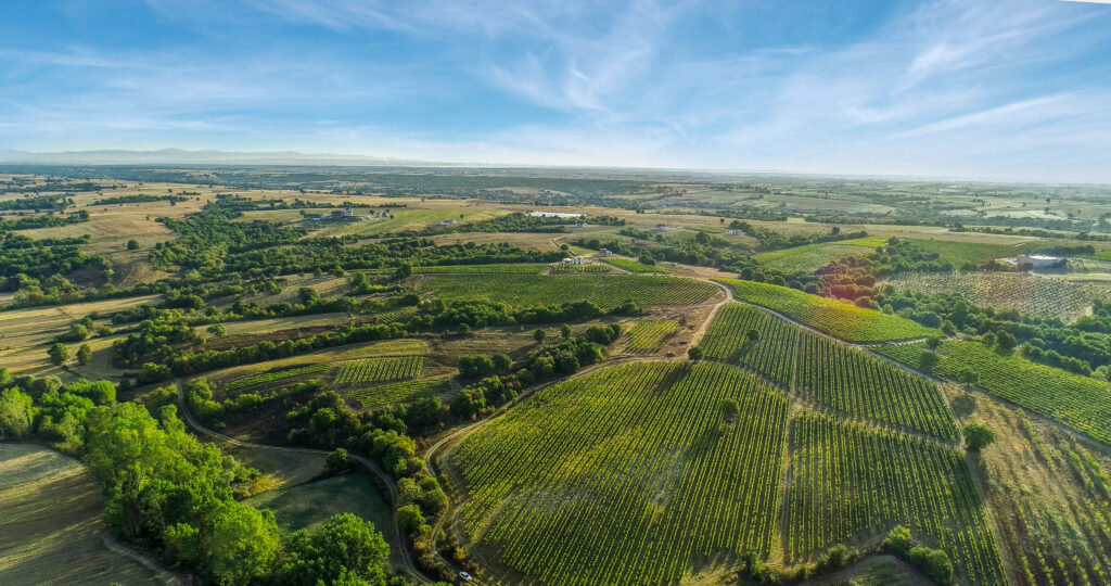 Interview with Zeynep Arca : A Turkish Tale of Terroir with Arcadia Wines