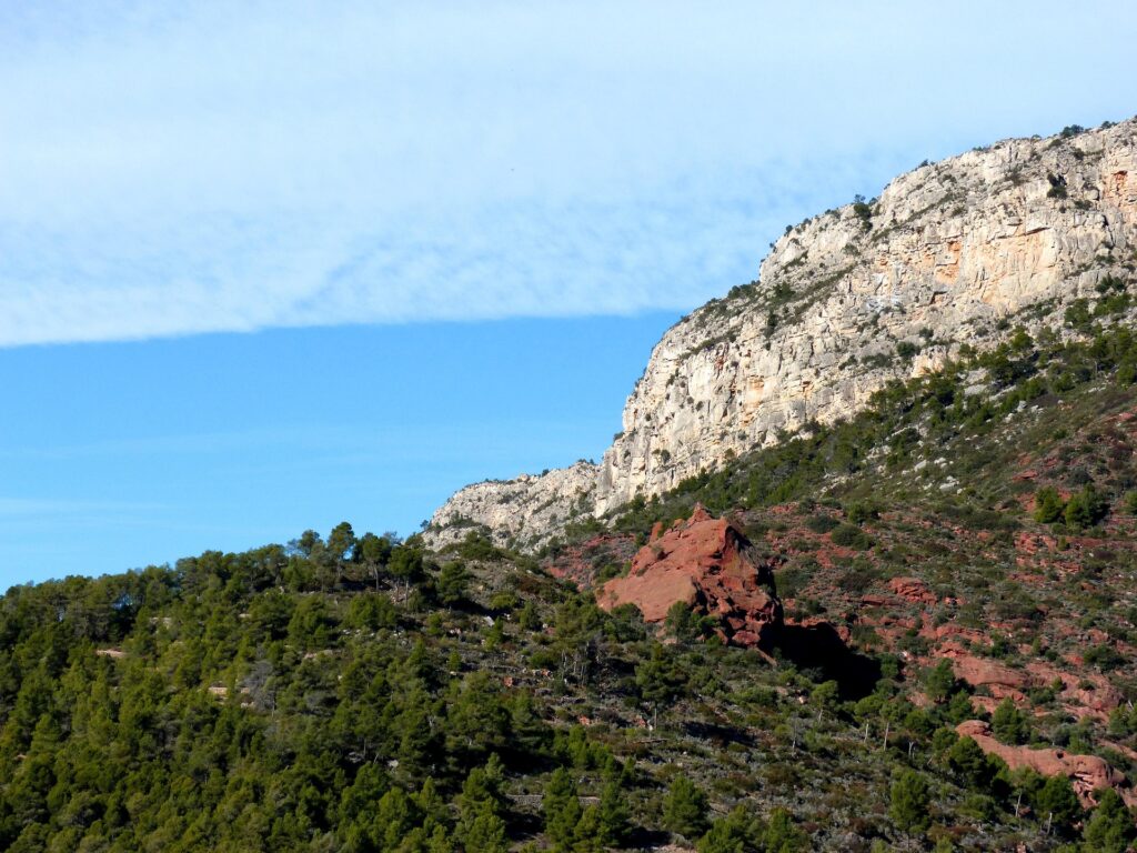 A Journey to the Soul of Terroir: An Exclusive Mediterranean Wine Odyssey