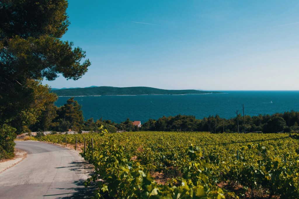 A Journey to the Soul of Terroir: An Exclusive Mediterranean Wine Odyssey