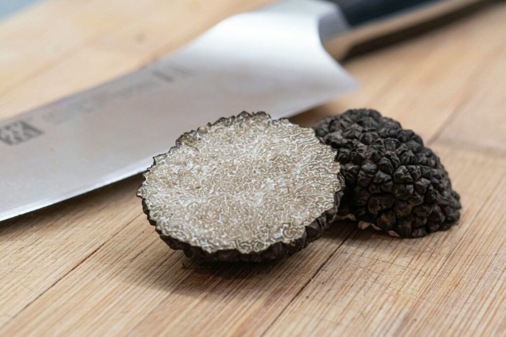 The Terroir of Shadows: A Journey Across Europe’s Truffle Capitals
