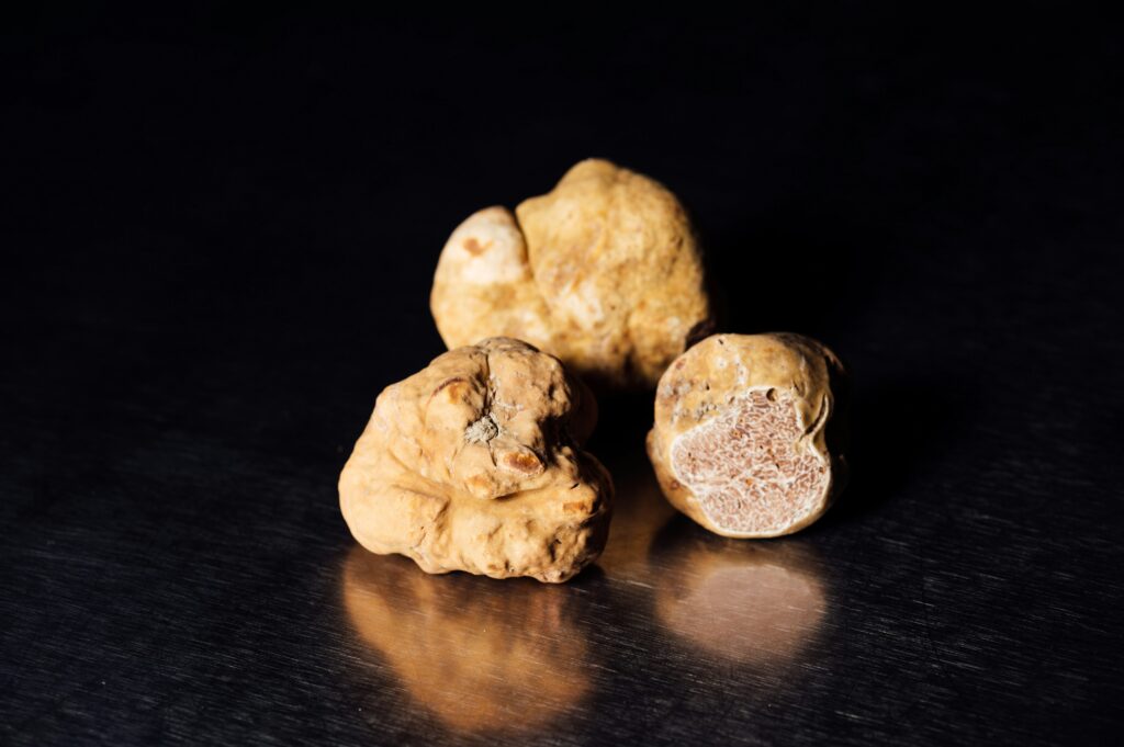 The Terroir of Shadows: A Journey Across Europe’s Truffle Capitals