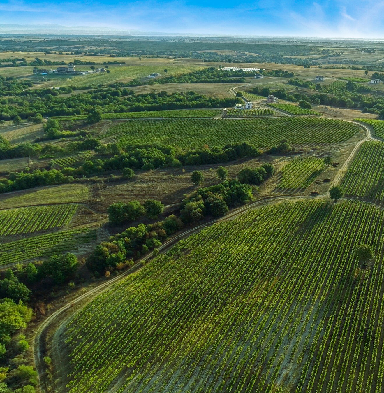 Visit Turkey: Ancient Wonders, Rich Heritage and Exquisite Cuisine