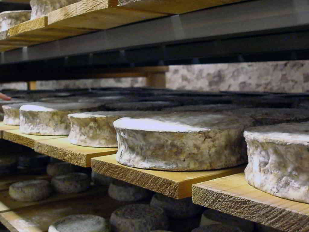 Laurent Mons: The Art of Aging Cheese, From Mountain Pastures to a Hidden Tunnel Beneath the Earth