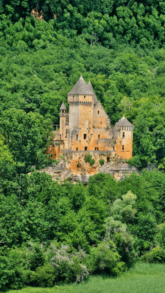 Christmas Markets to Real Kitchens: Winter Gastronomy in Europe 4 Christmas Markets to Real Kitchens: Winter Gastronomy in Europe