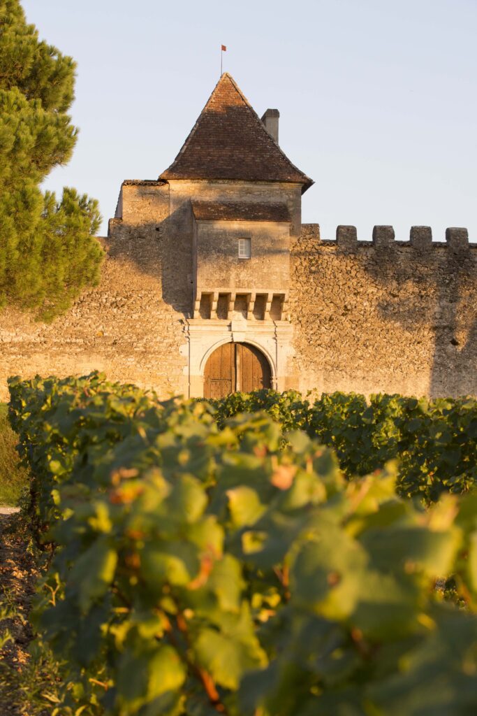 Bordeaux Primeurs 2026 — Entering the City While the Vintage Is Still Exposed