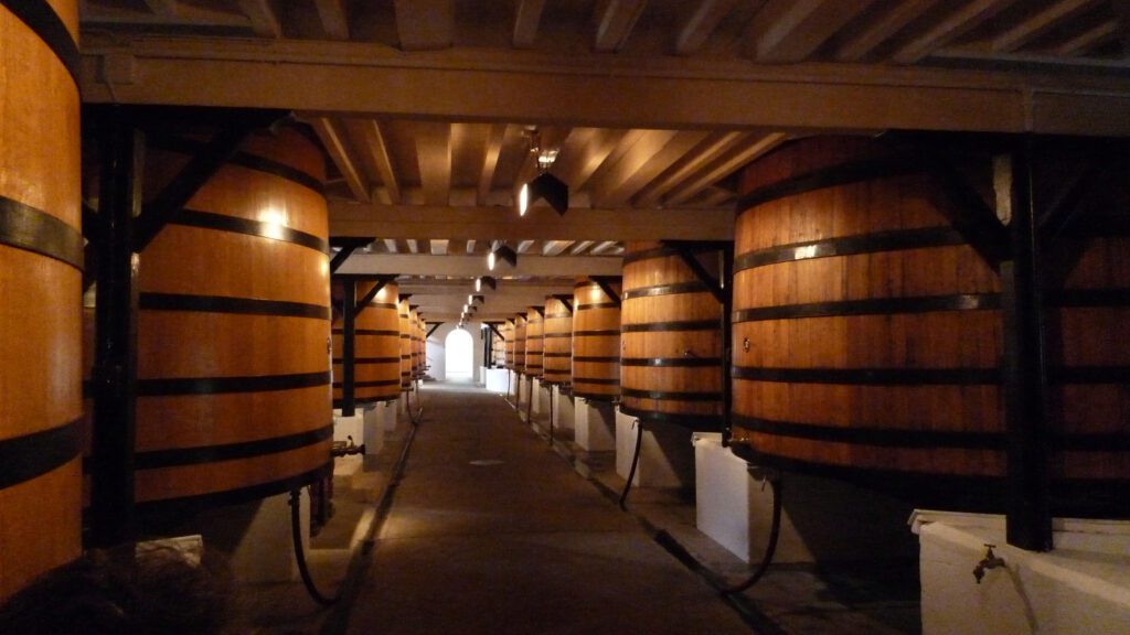 Bordeaux Primeurs 2026 — Entering the City While the Vintage Is Still Exposed