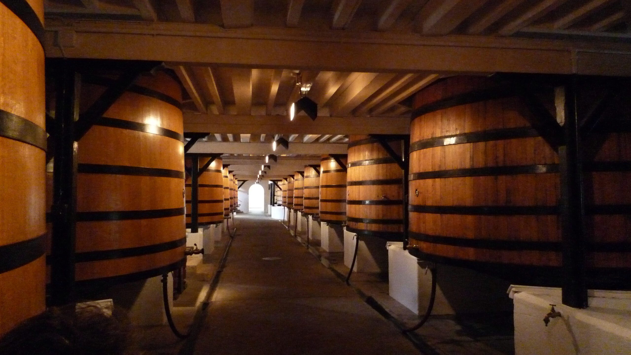 The grand vaulted barrel cellar of a First Growth château