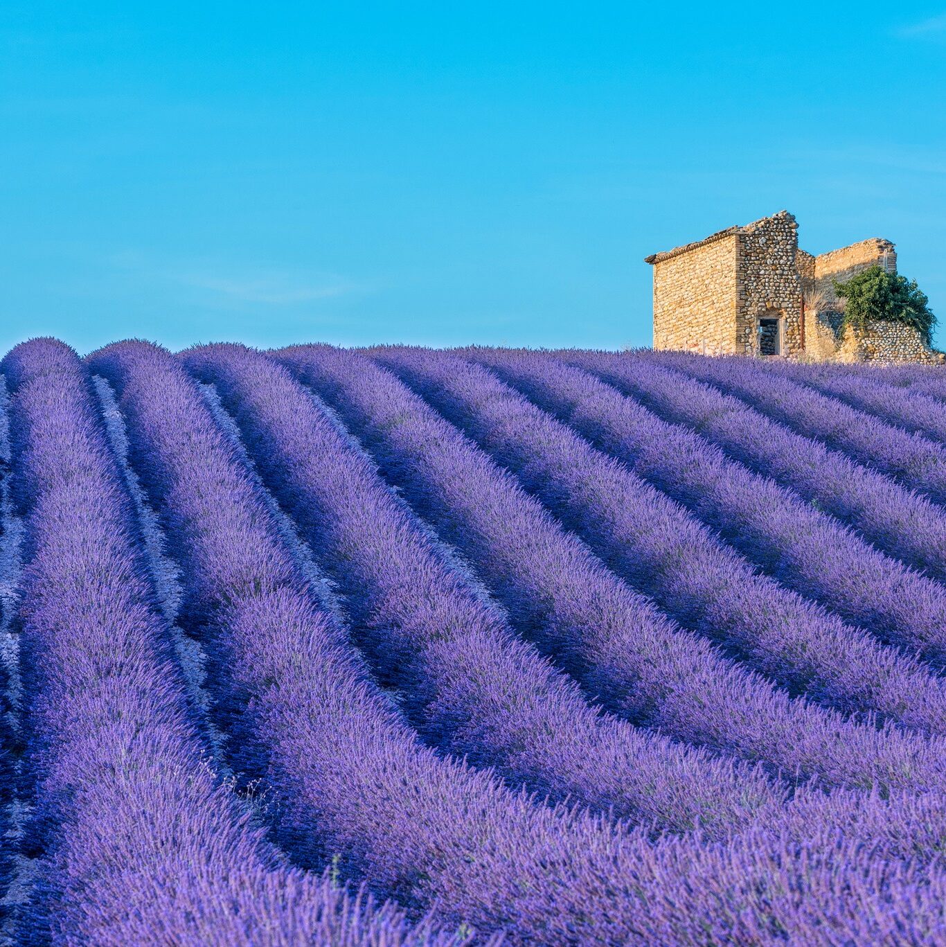 12 Extraordinary Moments: Your Year of Uncommon Experiences in France 19 12 Extraordinary Moments: Your Year of Uncommon Experiences in France