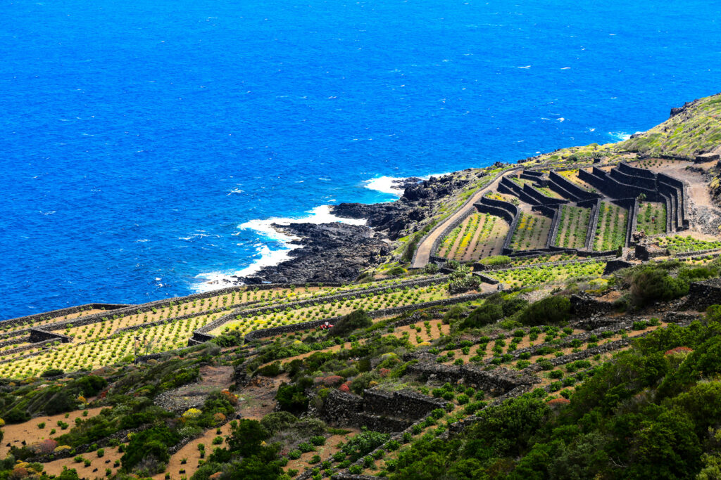 Louboutin's Melides, Armani's Pantelleria & Jacquemus's Provence: Luxury Travel to Fashion's Creative Retreats 4 Louboutin's Melides, Armani's Pantelleria & Jacquemus's Provence: Luxury Travel to Fashion's Creative Retreats