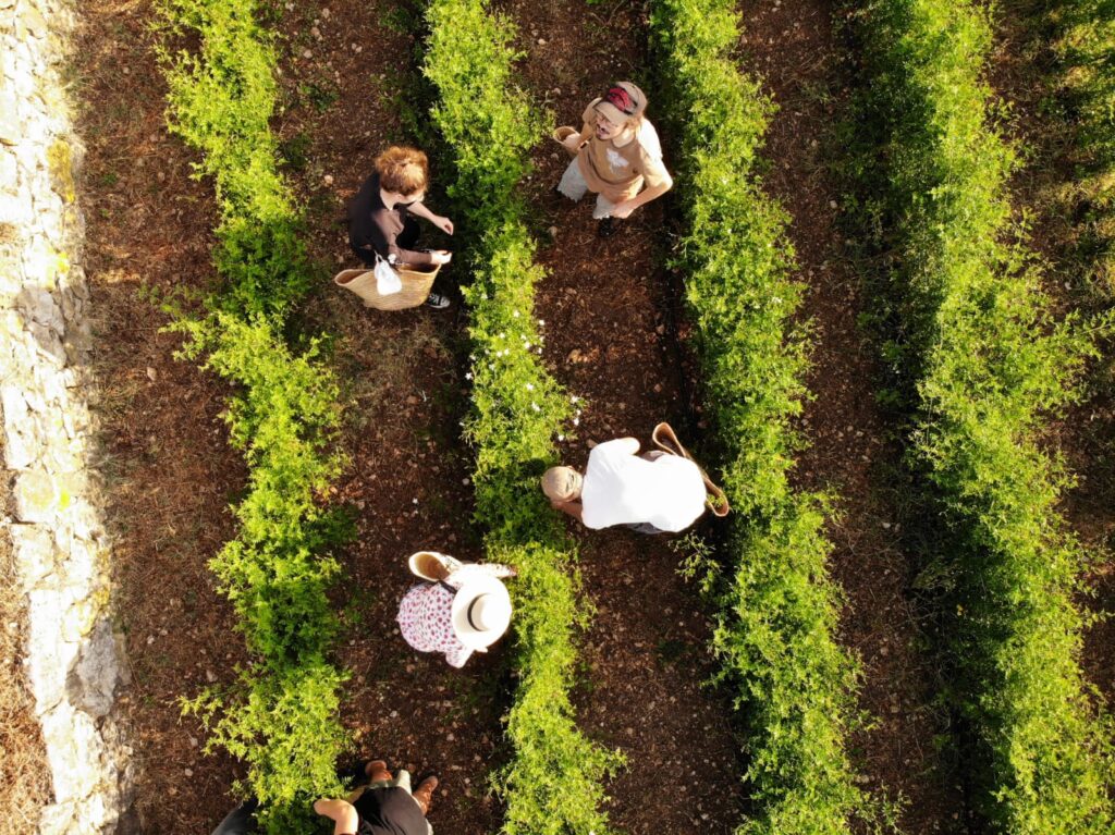 12 Extraordinary Moments: Your Year of Uncommon Experiences in France 18 12 Extraordinary Moments: Your Year of Uncommon Experiences in France