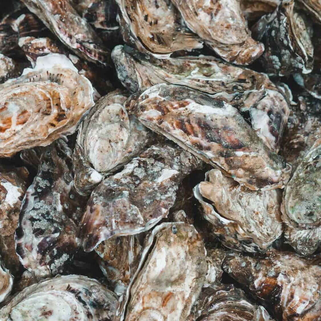 12 Extraordinary Moments: Your Year of Uncommon Experiences in France 26 12 Extraordinary Moments: Your Year of Uncommon Experiences in France