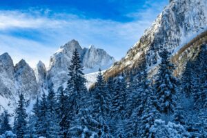 Adventurous Proposal in the French Alps: Romance in the Snow